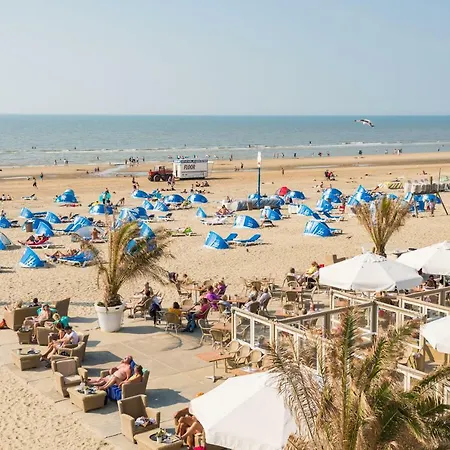 Koster Budget Zandvoort